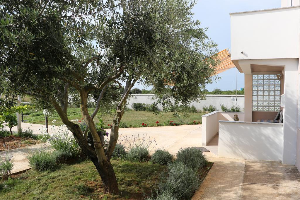 Apartments Zaton Draga 외부 사진